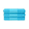 Aqua Blue